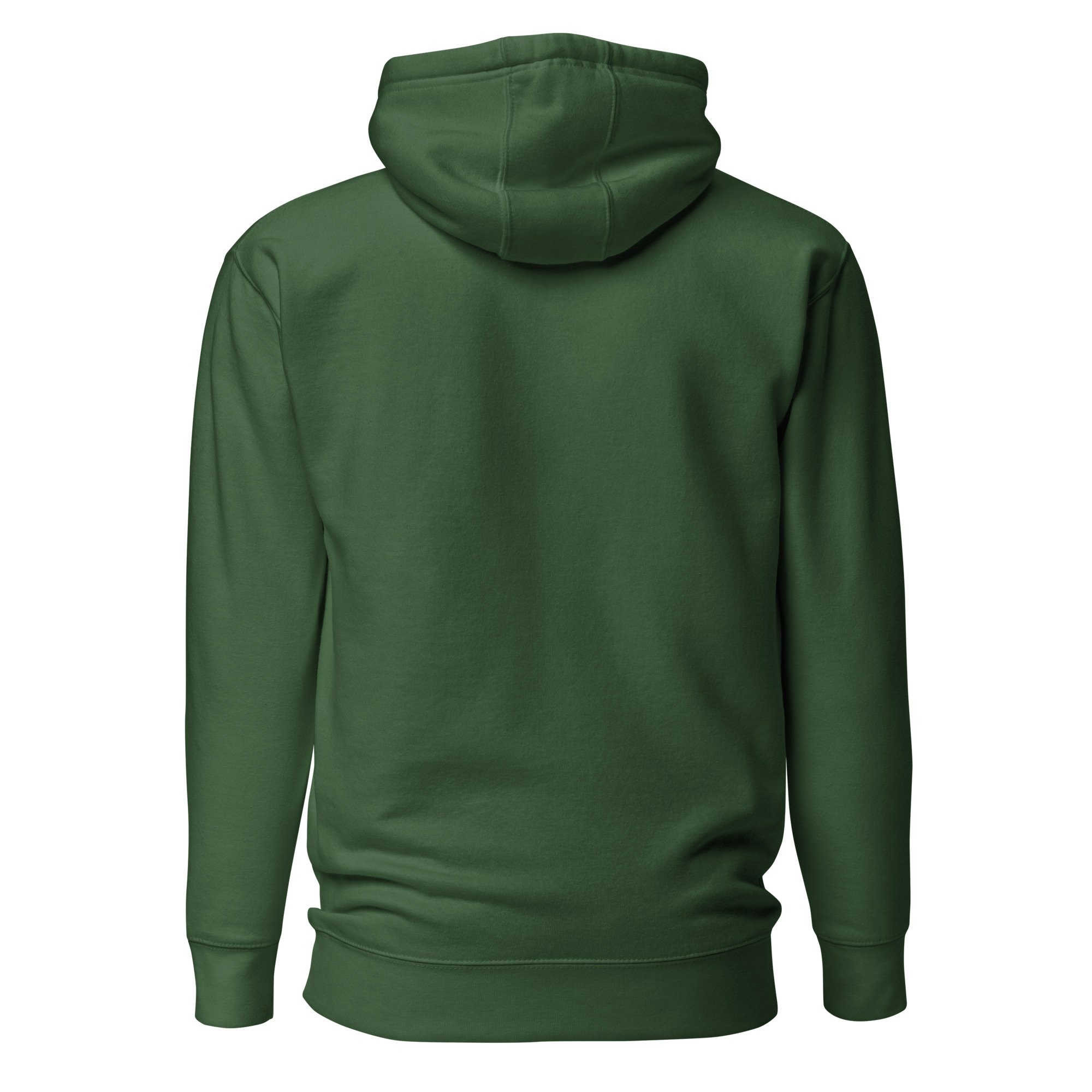 unisex-premium-hoodie-forest-green-back-6634e740dc164.jpg